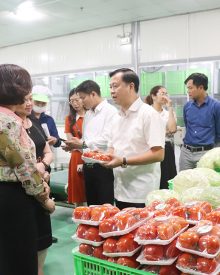 Người đứng đầu phải chịu trách nhiệm nếu để vi phạm về an toàn thực phẩm