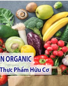 Số Liệu Thống Kê Về Vệ Sinh An Toàn Thực Phẩm Tại Việt Nam