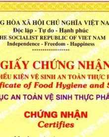 Hướng Dẫn Xin Giấy An Toàn Thực Phẩm Tại TP.HCM Mới Nhất